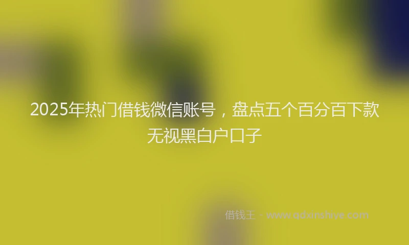 2025年热门借钱微信账号，盘点五个百分百下款无视黑白户口子