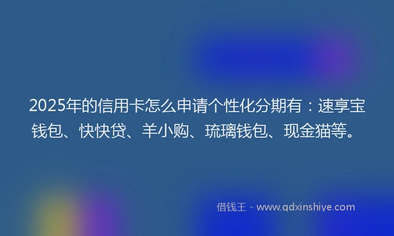 2025年的信用卡怎么申请个性化分期有：速享宝钱包、快快贷、羊小购、琉璃钱包、现金猫等。