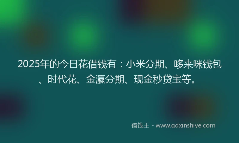 2025年的今日花借钱有：小米分期、哆来咪钱包、时代花、金瀛分期、现金秒贷宝等。