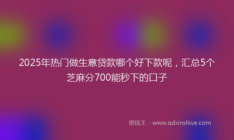 2025年热门做生意贷款哪个好下款呢，汇总5个芝麻分700能秒下的口子