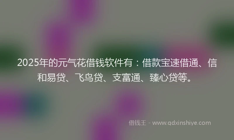 2025年的元气花借钱软件有：借款宝速借通、信和易贷、飞鸟贷、支富通、臻心贷等。