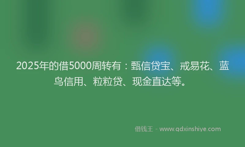 2025年的借5000周转有：甄信贷宝、戒易花、蓝鸟信用、粒粒贷、现金直达等。