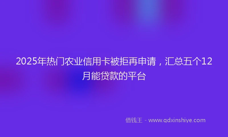 2025年热门农业信用卡被拒再申请，汇总五个12月能贷款的平台