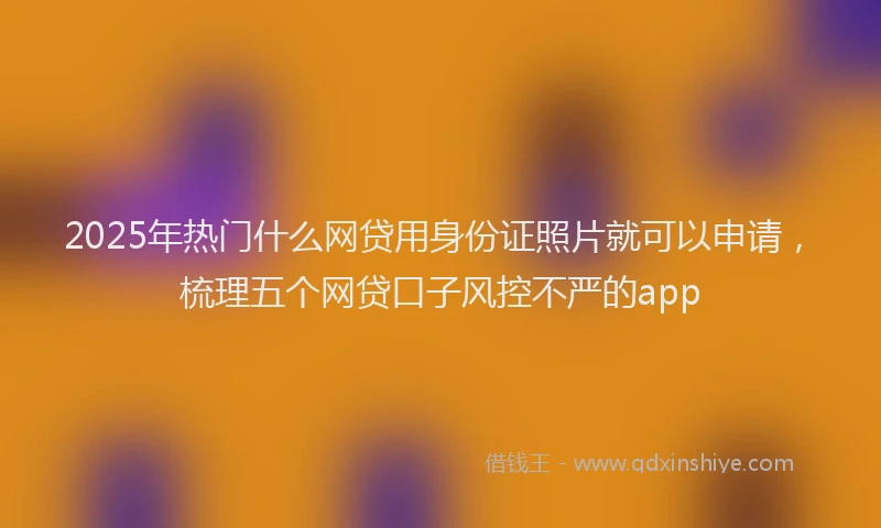 2025年热门什么网贷用身份证照片就可以申请，梳理五个网贷口子风控不严的app