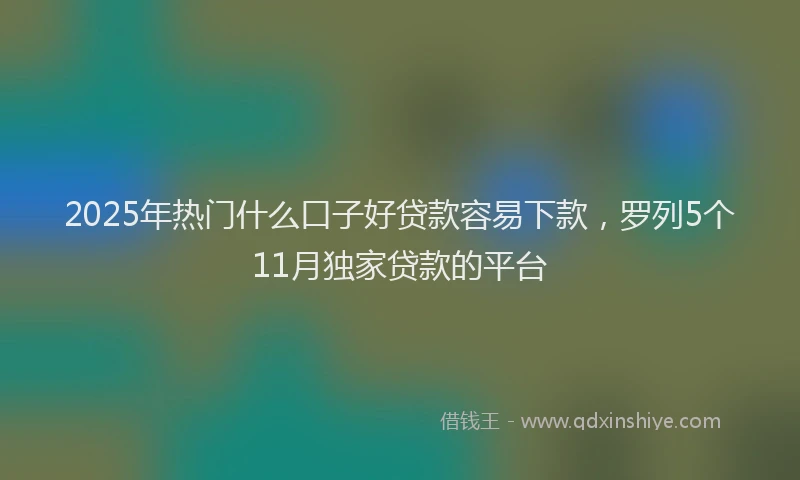 2025年热门什么口子好贷款容易下款，罗列5个11月独家贷款的平台