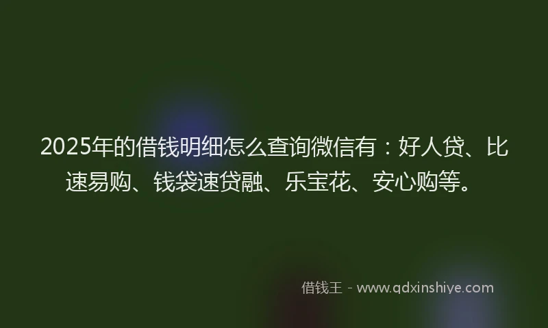 2025年的借钱明细怎么查询微信有：好人贷、比速易购、钱袋速贷融、乐宝花、安心购等。
