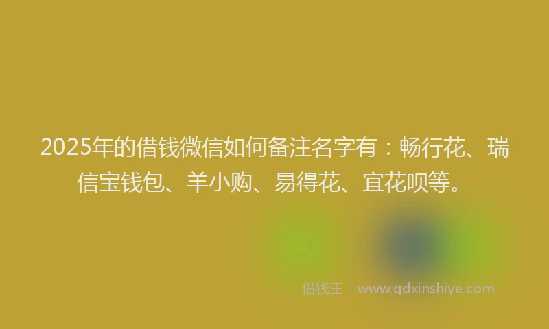 2025年的借钱微信如何备注名字有：畅行花、瑞信宝钱包、羊小购、易得花、宜花呗等。