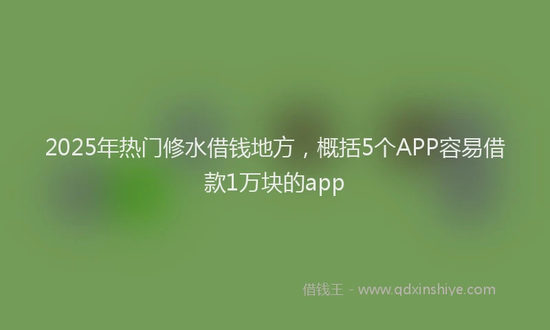 2025年热门修水借钱地方，概括5个APP容易借款1万块的app