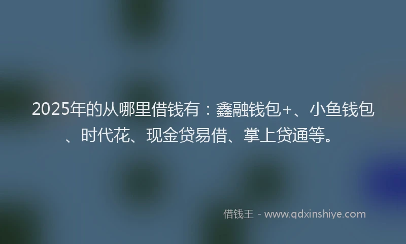 2025年的从哪里借钱有：鑫融钱包+、小鱼钱包、时代花、现金贷易借、掌上贷通等。