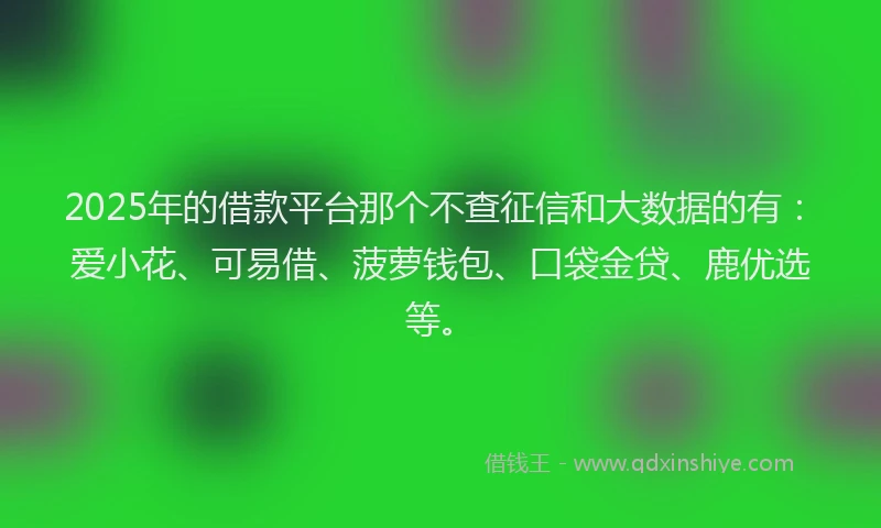 2025年的借款平台那个不查征信和大数据的有：爱小花、可易借、菠萝钱包、口袋金贷、鹿优选等。