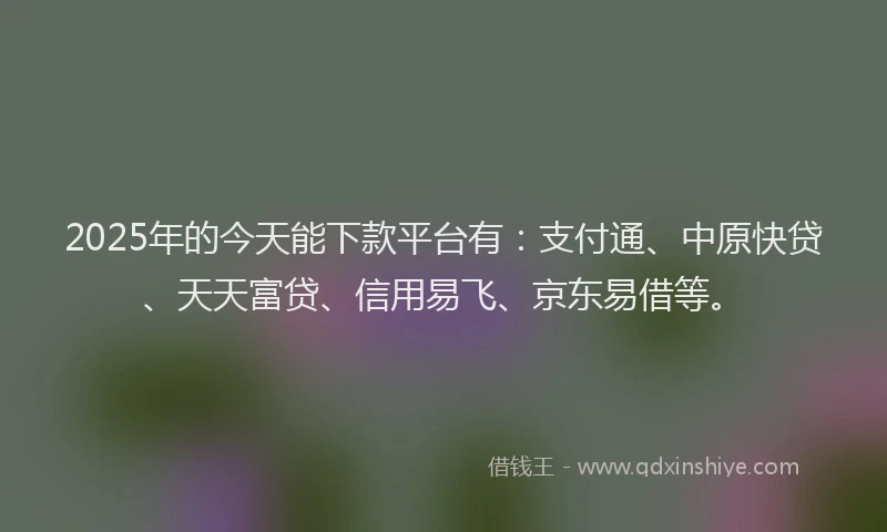 2025年的今天能下款平台有：支付通、中原快贷、天天富贷、信用易飞、京东易借等。