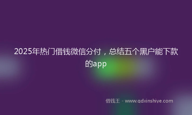 2025年热门借钱微信分付，总结五个黑户能下款的app