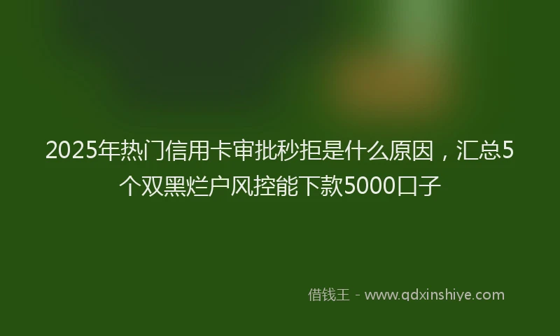 2025年热门信用卡审批秒拒是什么原因，汇总5个双黑烂户风控能下款5000口子
