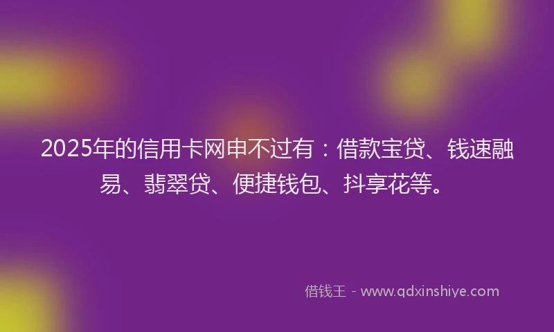 2025年的信用卡网申不过有：借款宝贷、钱速融易、翡翠贷、便捷钱包、抖享花等。