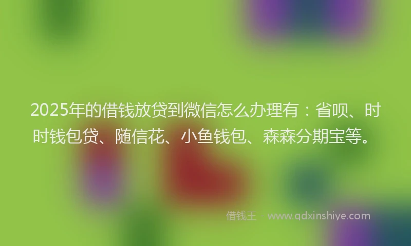 2025年的借钱放贷到微信怎么办理有：省呗、时时钱包贷、随信花、小鱼钱包、森森分期宝等。