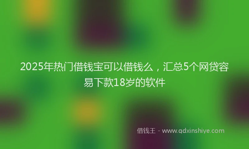 2025年热门借钱宝可以借钱么，汇总5个网贷容易下款18岁的软件