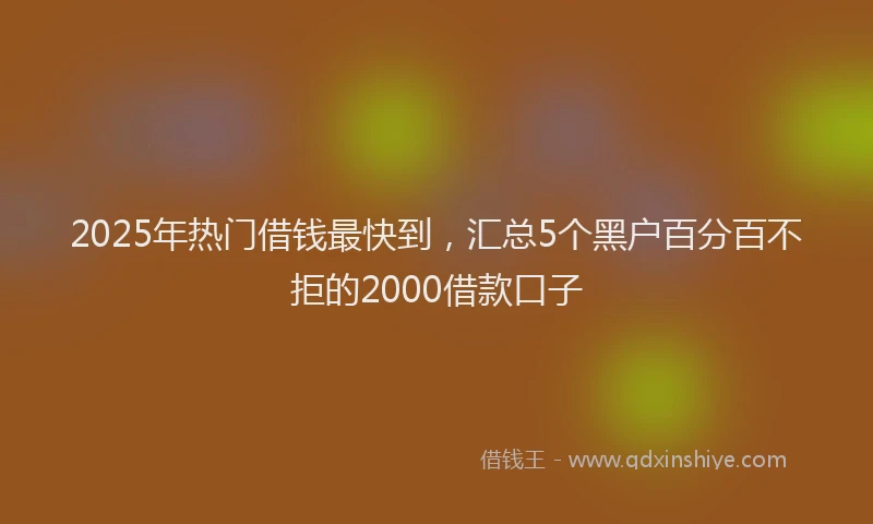 2025年热门借钱最快到，汇总5个黑户百分百不拒的2000借款口子