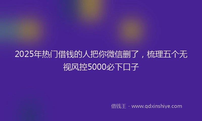 2025年热门借钱的人把你微信删了，梳理五个无视风控5000必下口子