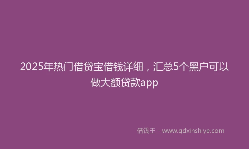 2025年热门借贷宝借钱详细，汇总5个黑户可以做大额贷款app