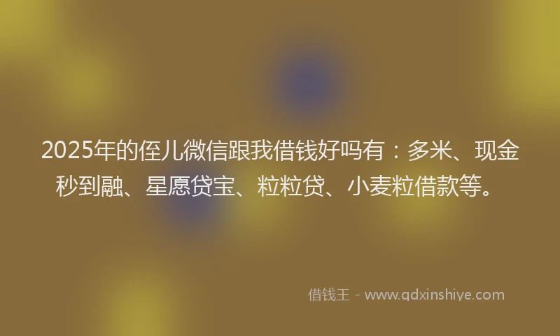2025年的侄儿微信跟我借钱好吗有：多米、现金秒到融、星愿贷宝、粒粒贷、小麦粒借款等。