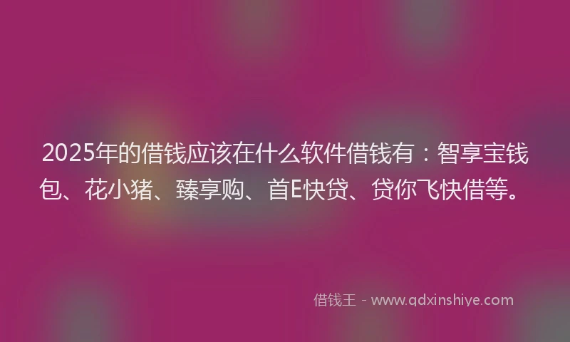 2025年的借钱应该在什么软件借钱有：智享宝钱包、花小猪、臻享购、首E快贷、贷你飞快借等。
