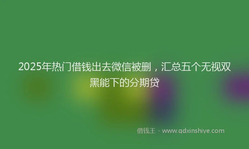 2025年热门借钱出去微信被删，汇总五个无视双黑能下的分期贷