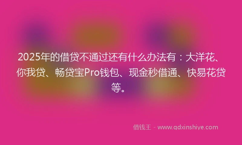 2025年的借贷不通过还有什么办法有：大洋花、你我贷、畅贷宝Pro钱包、现金秒借通、快易花贷等。