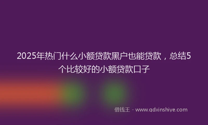2025年热门什么小额贷款黑户也能贷款，总结5个比较好的小额贷款口子