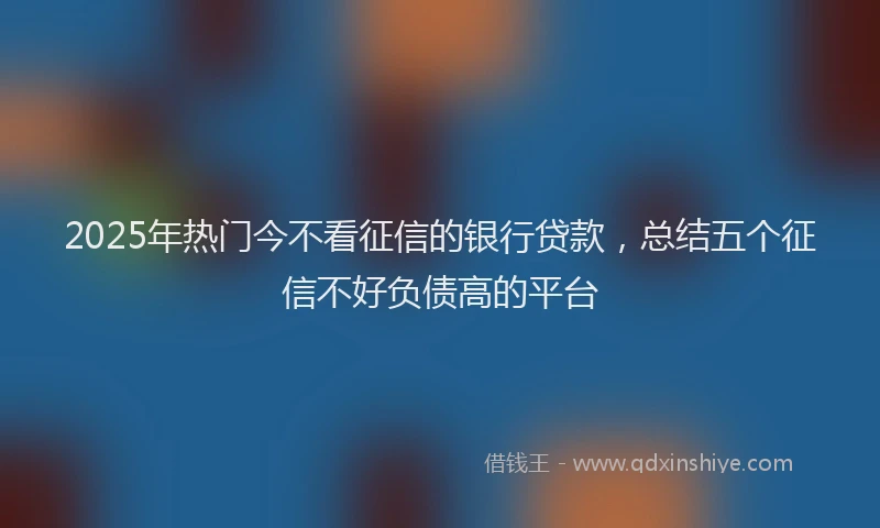2025年热门今不看征信的银行贷款，总结五个征信不好负债高的平台