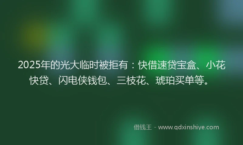 2025年的光大临时被拒有：快借速贷宝盒、小花快贷、闪电侠钱包、三枝花、琥珀买单等。
