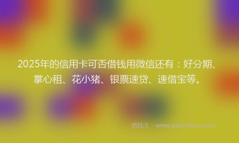 2025年的信用卡可否借钱用微信还有：好分期、掌心租、花小猪、银票速贷、速借宝等。