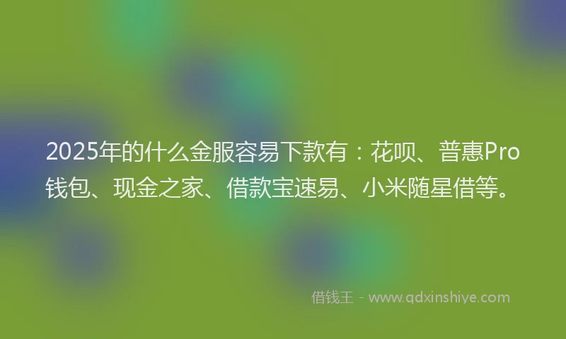 2025年的什么金服容易下款有：花呗、普惠Pro钱包、现金之家、借款宝速易、小米随星借等。