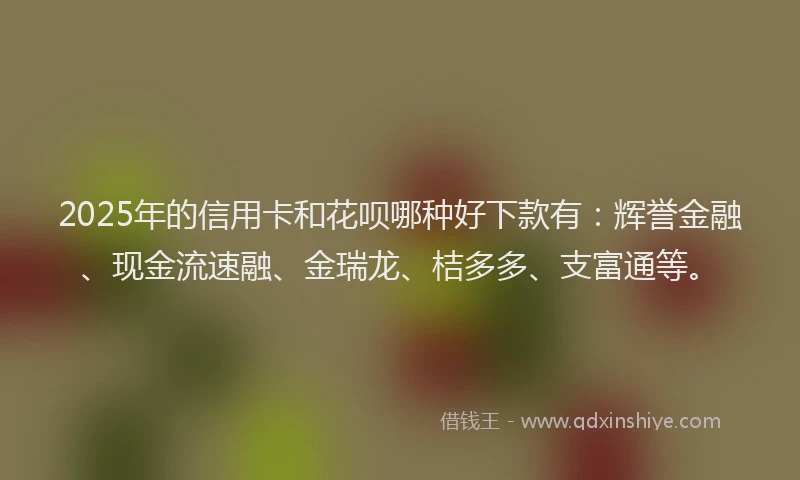 2025年的信用卡和花呗哪种好下款有：辉誉金融、现金流速融、金瑞龙、桔多多、支富通等。