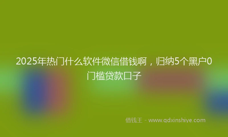 2025年热门什么软件微信借钱啊，归纳5个黑户0门槛贷款口子