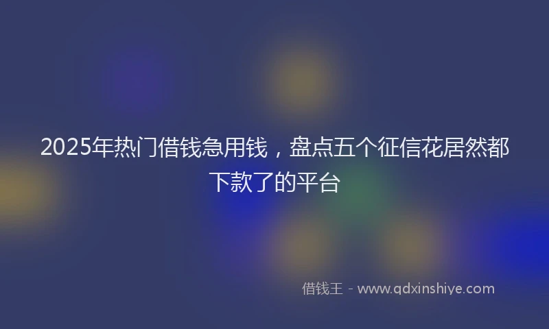 2025年热门借钱急用钱，盘点五个征信花居然都下款了的平台