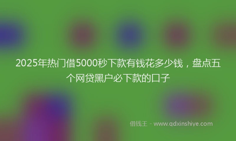 2025年热门借5000秒下款有钱花多少钱，盘点五个网贷黑户必下款的口子