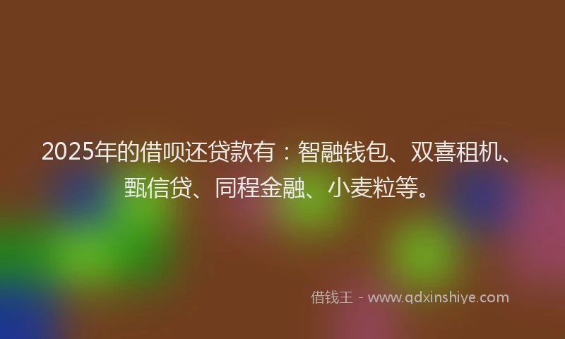 2025年的借呗还贷款有：智融钱包、双喜租机、甄信贷、同程金融、小麦粒等。