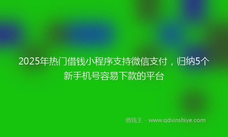 2025年热门借钱小程序支持微信支付，归纳5个新手机号容易下款的平台