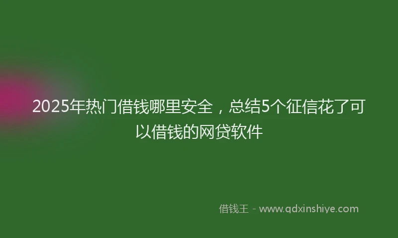 2025年热门借钱哪里安全，总结5个征信花了可以借钱的网贷软件