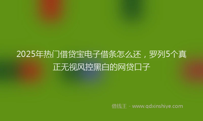 2025年热门借贷宝电子借条怎么还，罗列5个真正无视风控黑白的网贷口子