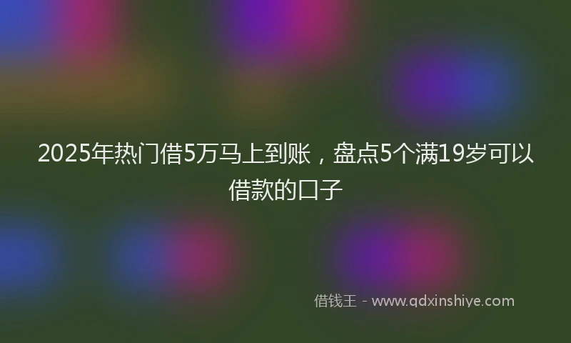 2025年热门借5万马上到账，盘点5个满19岁可以借款的口子