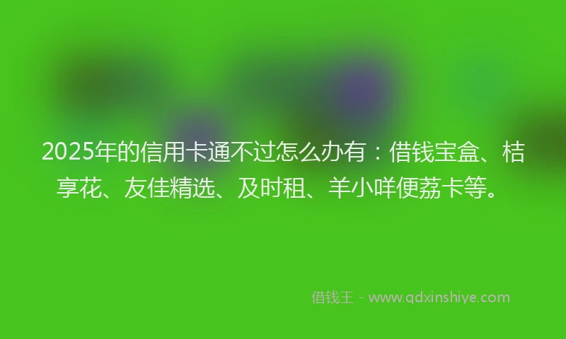 2025年的信用卡通不过怎么办有：借钱宝盒、桔享花、友佳精选、及时租、羊小咩便荔卡等。