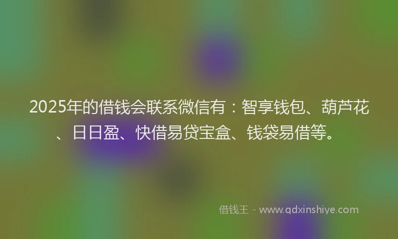 2025年的借钱会联系微信有：智享钱包、葫芦花、日日盈、快借易贷宝盒、钱袋易借等。