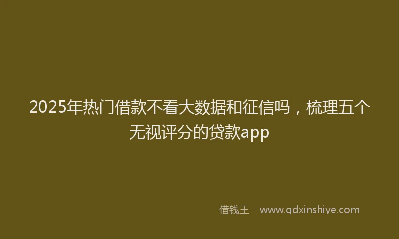 2025年热门借款不看大数据和征信吗，梳理五个无视评分的贷款app
