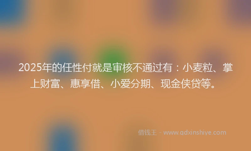 2025年的任性付就是审核不通过有：小麦粒、掌上财富、惠享借、小爱分期、现金侠贷等。