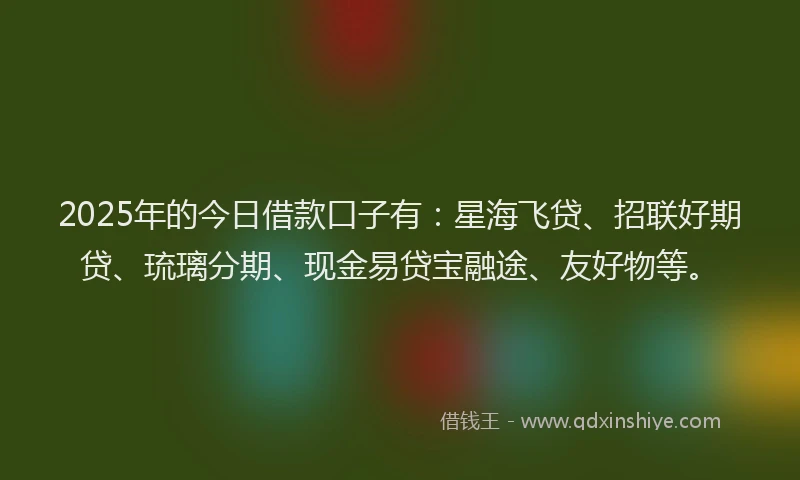 2025年的今日借款口子有：星海飞贷、招联好期贷、琉璃分期、现金易贷宝融途、友好物等。
