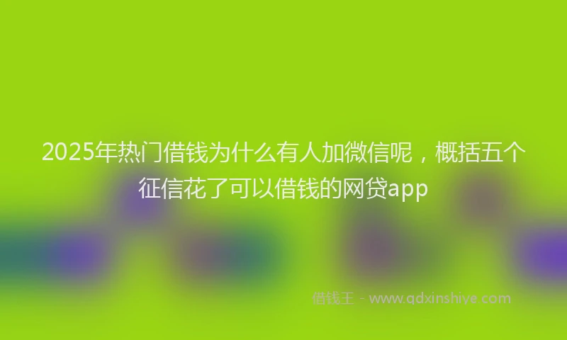 2025年热门借钱为什么有人加微信呢，概括五个征信花了可以借钱的网贷app