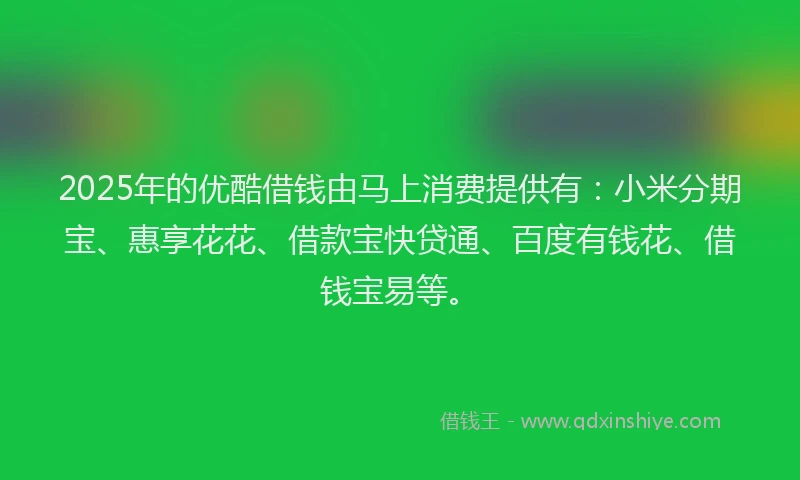 2025年的优酷借钱由马上消费提供有：小米分期宝、惠享花花、借款宝快贷通、百度有钱花、借钱宝易等。