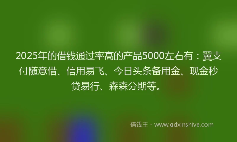 2025年的借钱通过率高的产品5000左右有：翼支付随意借、信用易飞、今日头条备用金、现金秒贷易行、森森分期等。