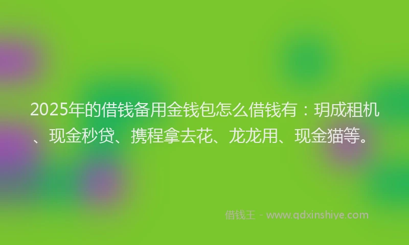 2025年的借钱备用金钱包怎么借钱有：玥成租机、现金秒贷、携程拿去花、龙龙用、现金猫等。